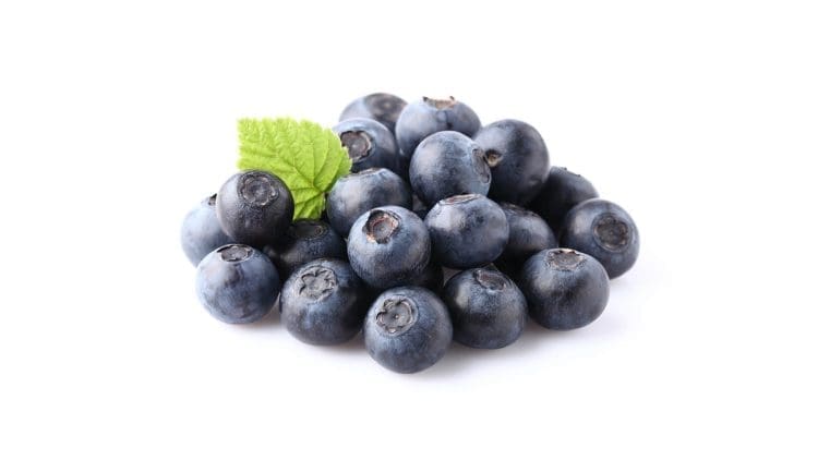 Blueberries