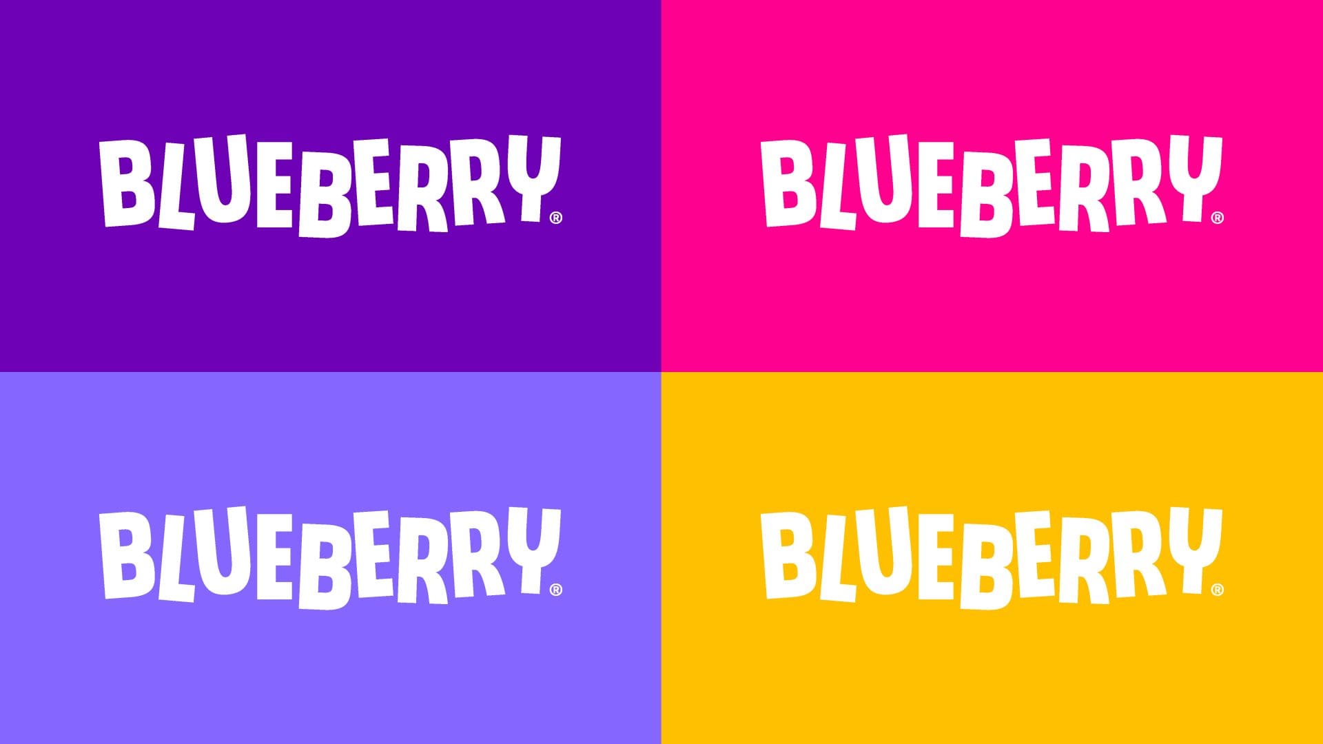 Blueberry fencing in four colours