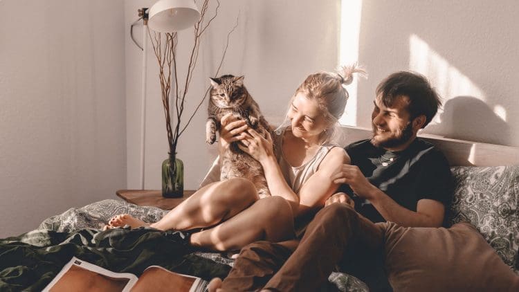 Happy couple spending time reading in bed with their cat