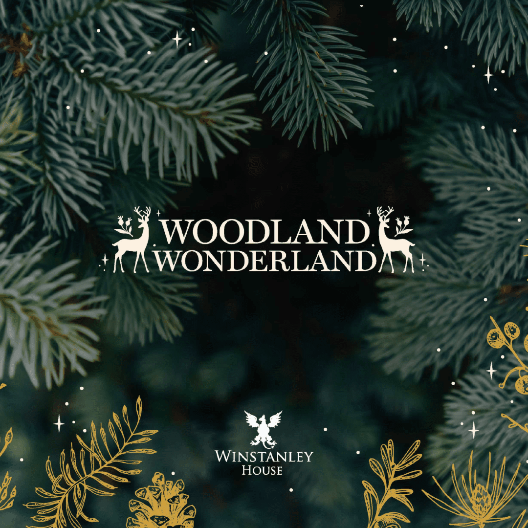 Title cover graphic for Winter Wonderland event brochure