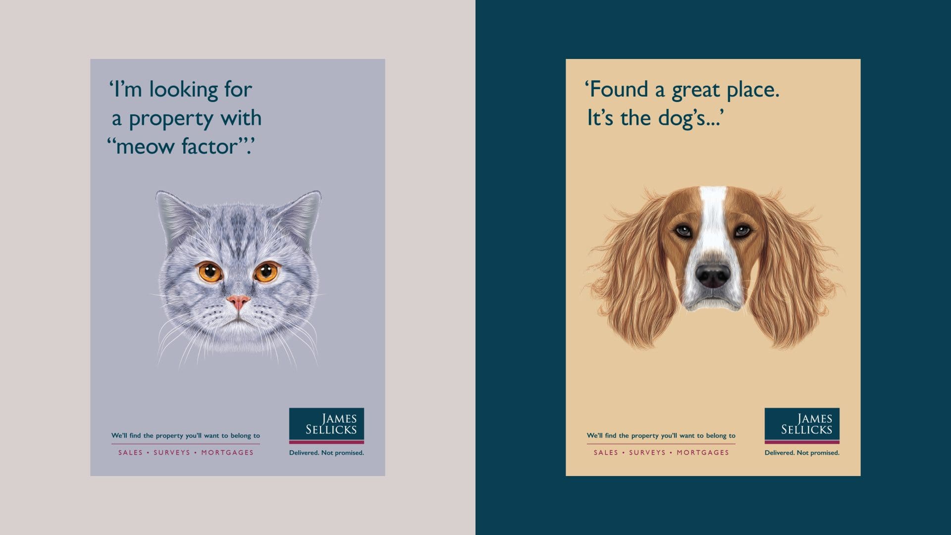 Pair of James Sellicks Pet Campaign Posters with a fluffy cat looking for the 